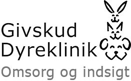 logo_2