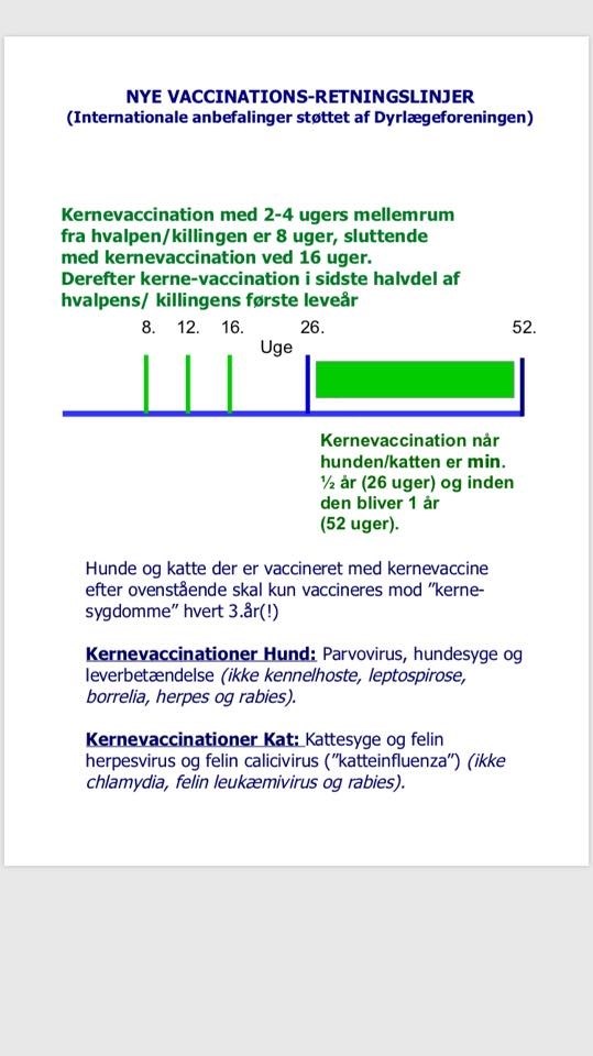 Vaccination af hund og kat i Vejle, Give & Jelling Din lokale dyrlæge ✓